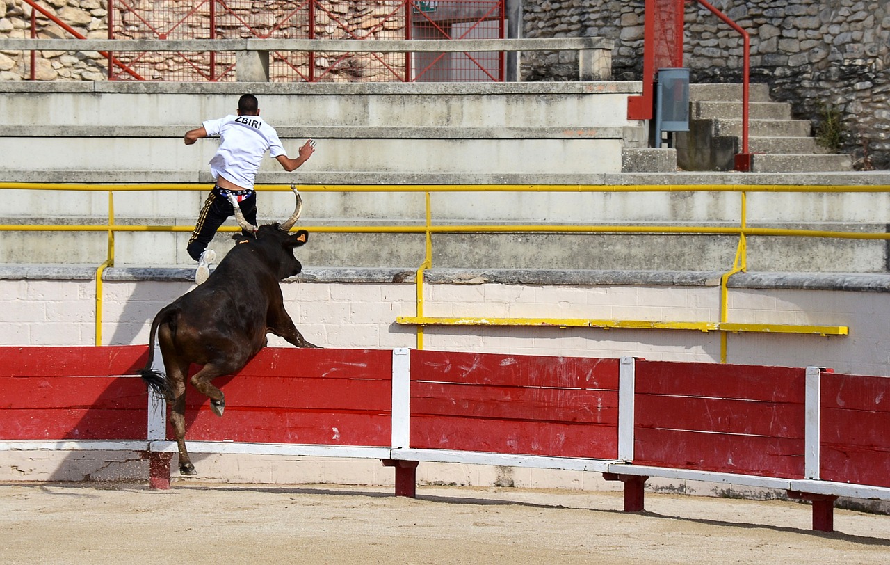 同道合的小