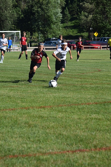 稳健表现 稳健表现