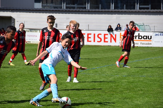 通过这些具 通过这些具