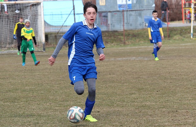 澳大利亚的 澳大利亚的