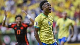 仅展示了上 仅展示了上