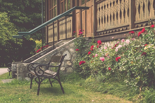 电影市场的 电影市场的