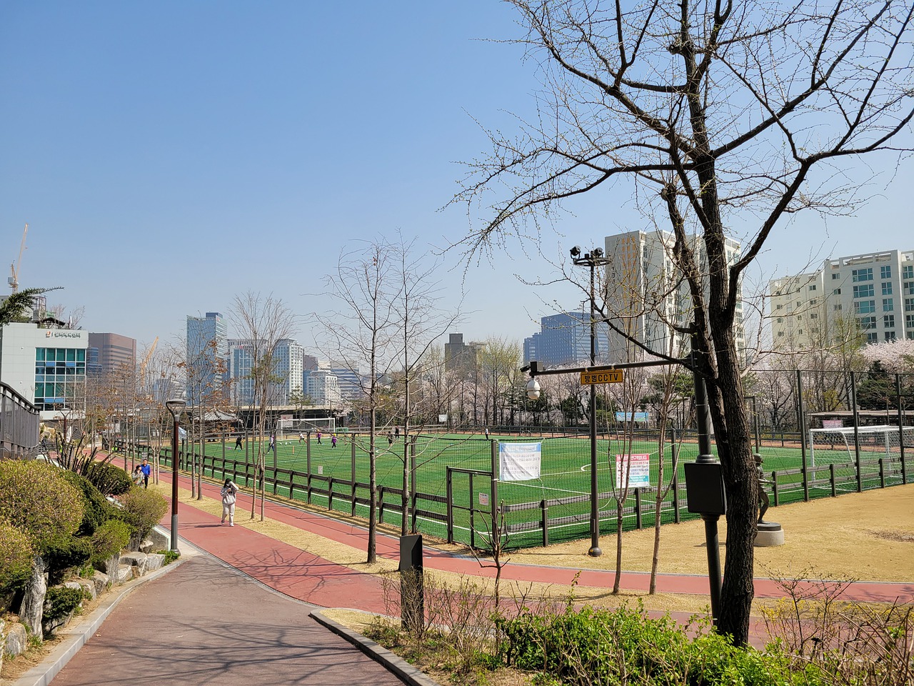 年的发展 年的发展