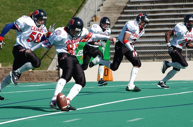 爵士队的进 爵士队的进