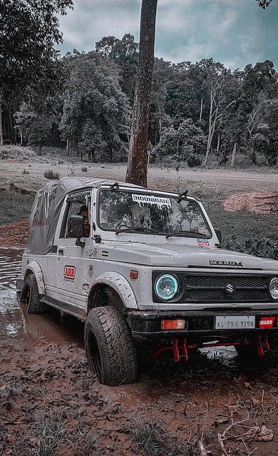 了适合自己 了适合自己